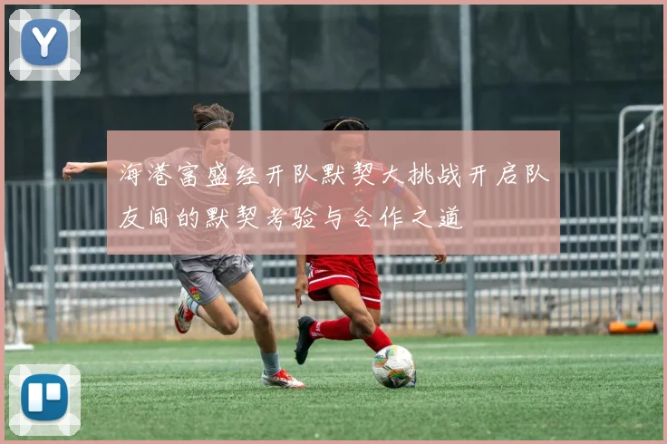 海港富盛经开队默契大挑战开启队友间的默契考验与合作之道